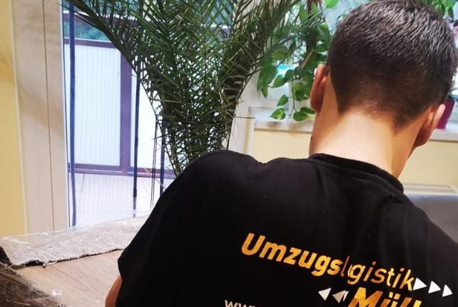 Behördenumzug Preise und Kosten Schöpstal